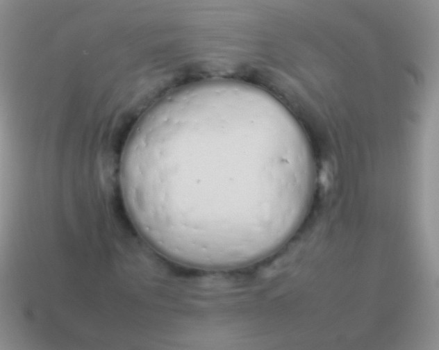 X0000113620867200910161950