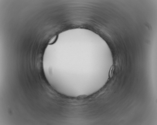 X0000113620868200910161950