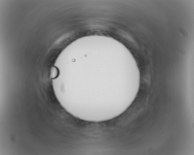 X0000113620869200910161950