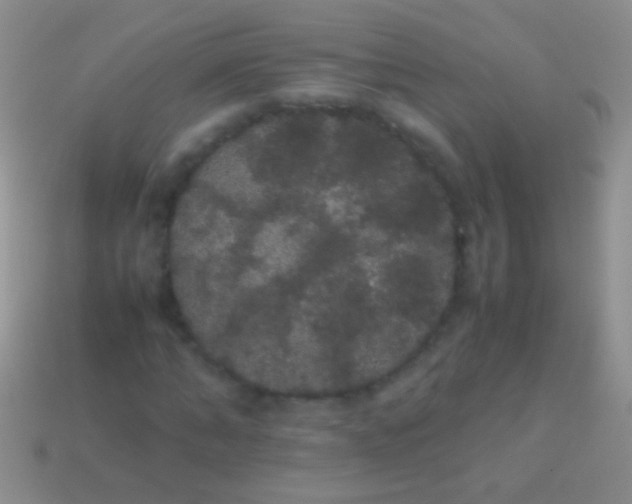 X0000113620870200910161950