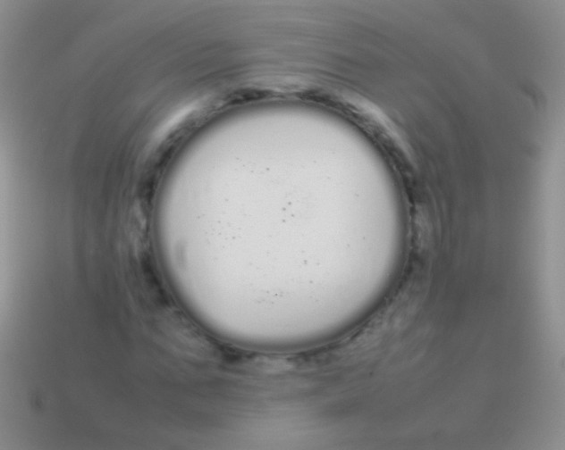X0000113620871200910161950