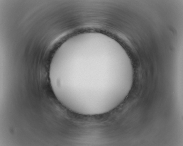 X0000113620872200910161950