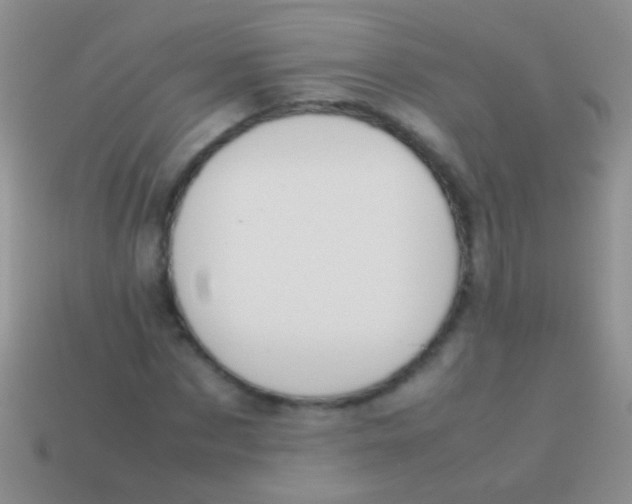 X0000113620873200910161950