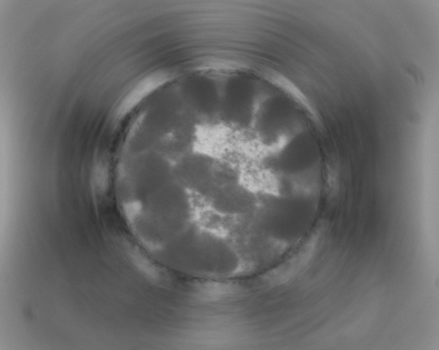 X0000113620874200910161950