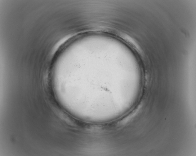 X0000113620875200910161950