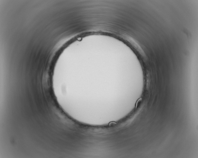 X0000113620876200910161950