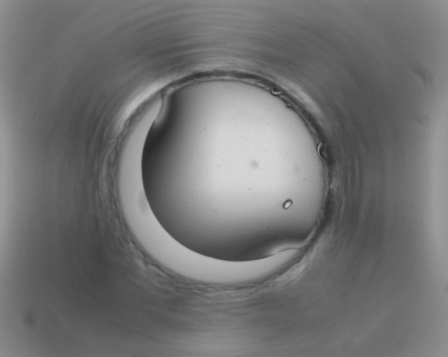 X0000113620877200910161950