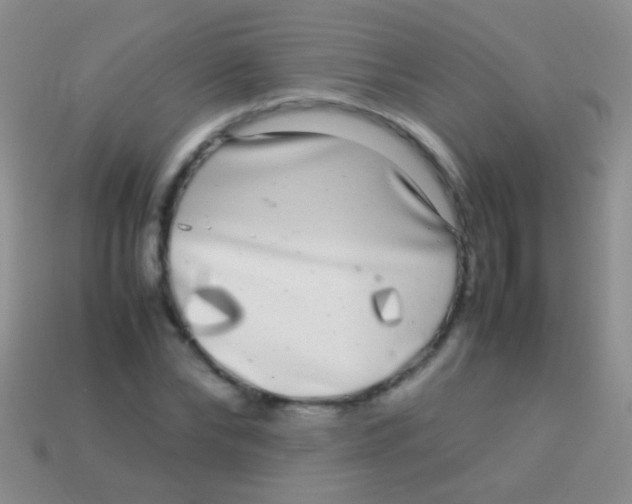 X0000113620878200910161950