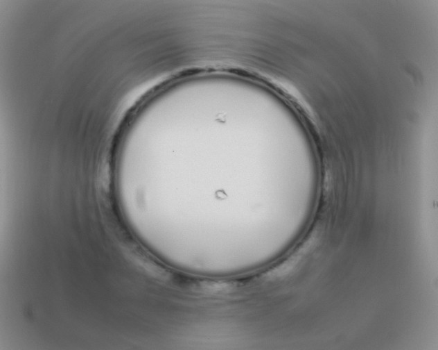 X0000113620879200910161950