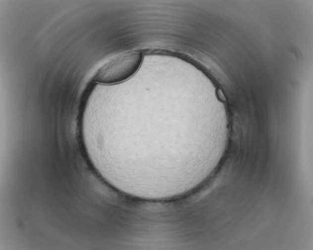 X0000113620880200910161950