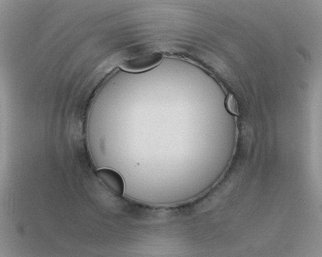 X0000113620881200910161950
