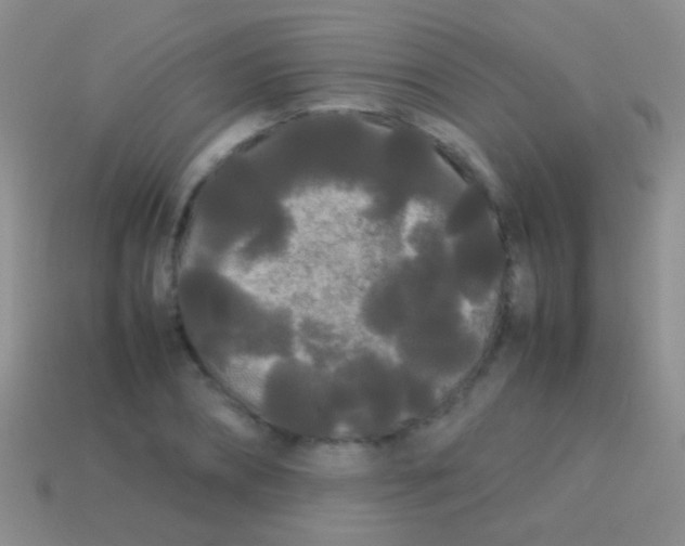 X0000113620882200910161950