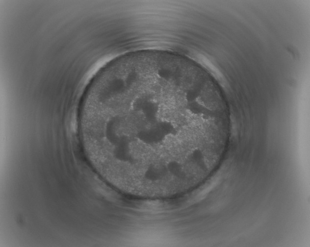 X0000113620883200910161950