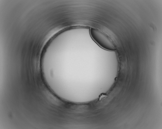 X0000113620884200910161950
