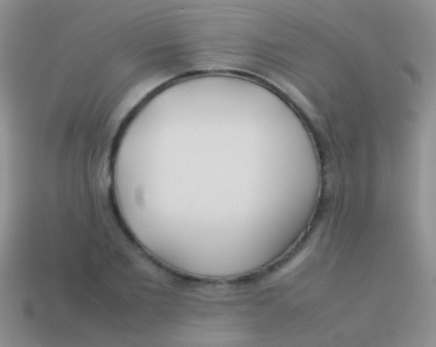 X0000113620885200910161950