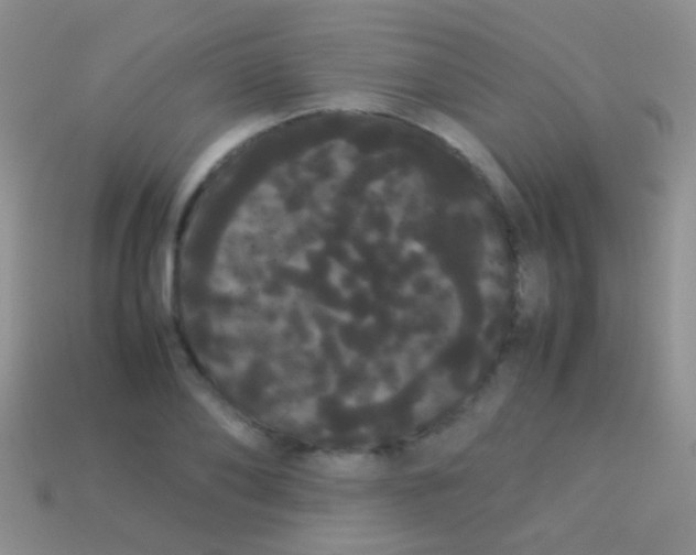 X0000113620886200910161950