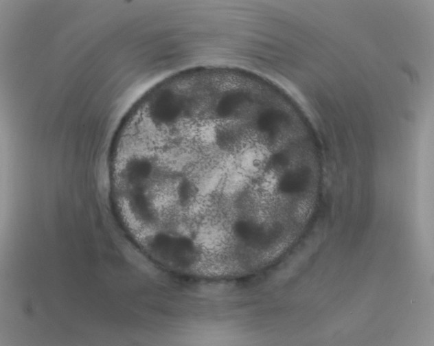 X0000113620887200910161950
