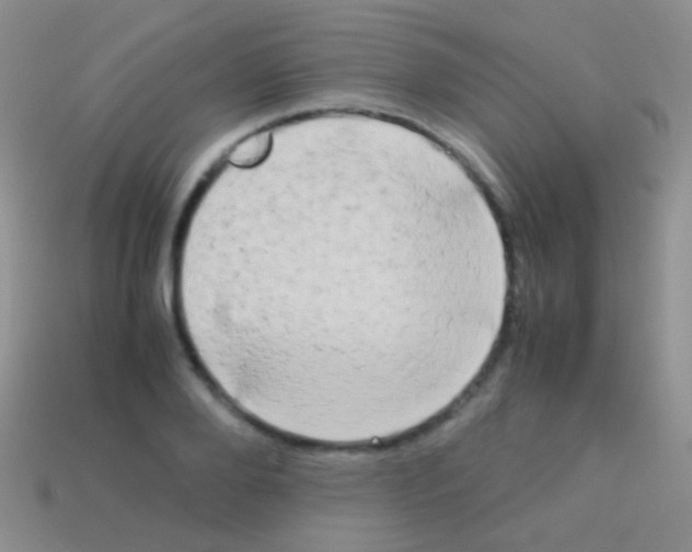 X0000113620888200910161950