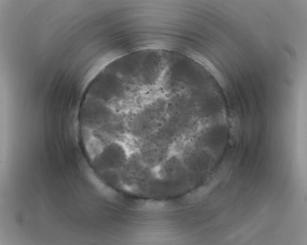 X0000113620890200910161950