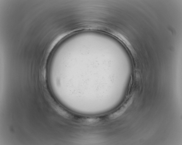 X0000113620891200910161950
