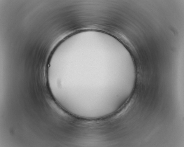 X0000113620892200910161950