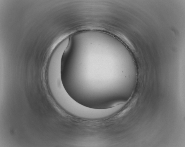 X0000113620893200910161950