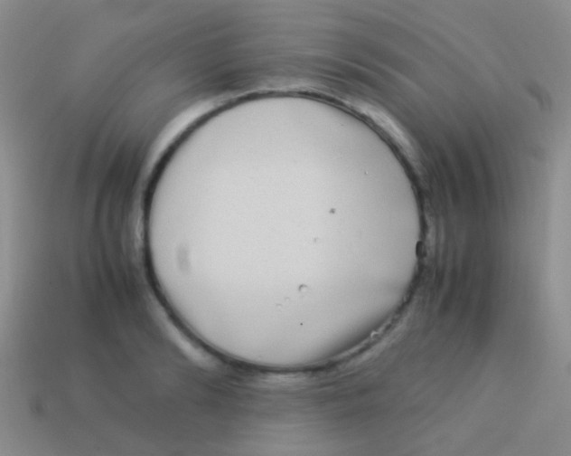 X0000113620894200910161950