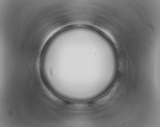 X0000113620895200910161950