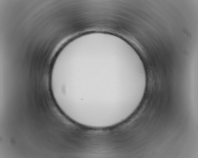 X0000113620896200910161950