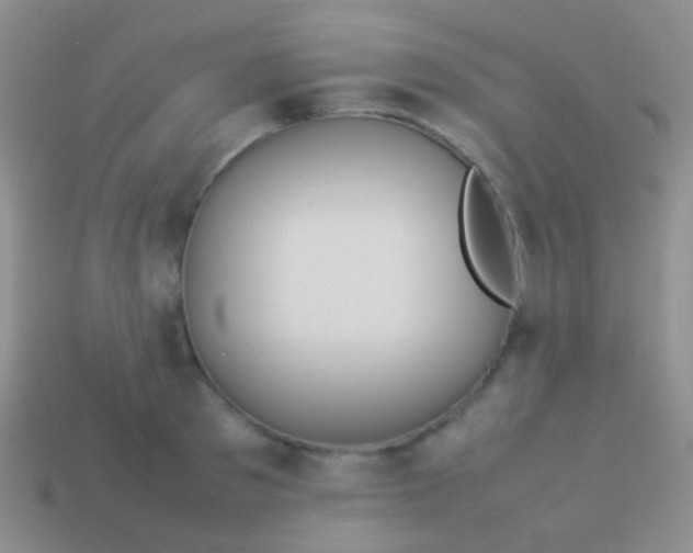 X0000113620897200910161950