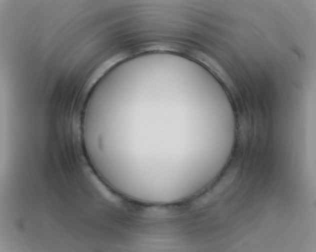 X0000113620898200910161950