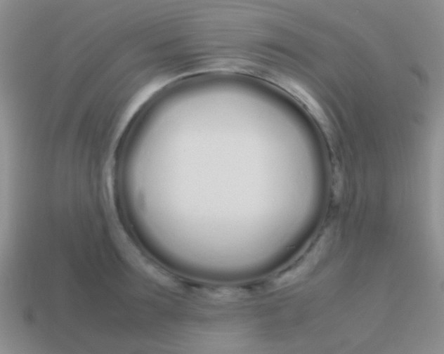X0000113620899200910161950
