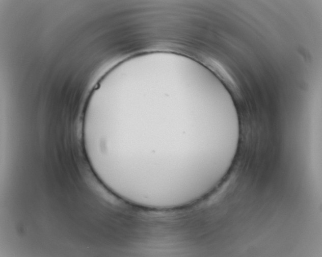 X0000113620900200910161950