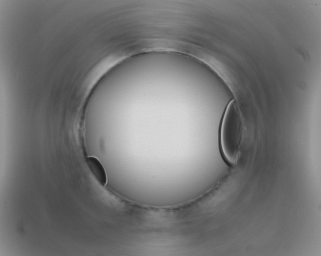 X0000113620901200910161950