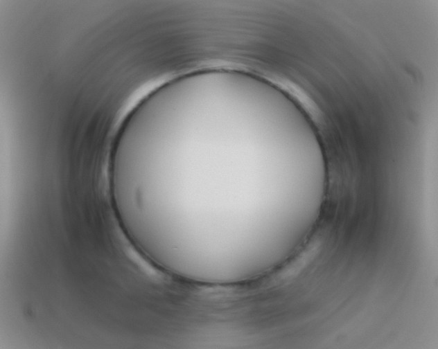 X0000113620902200910161950