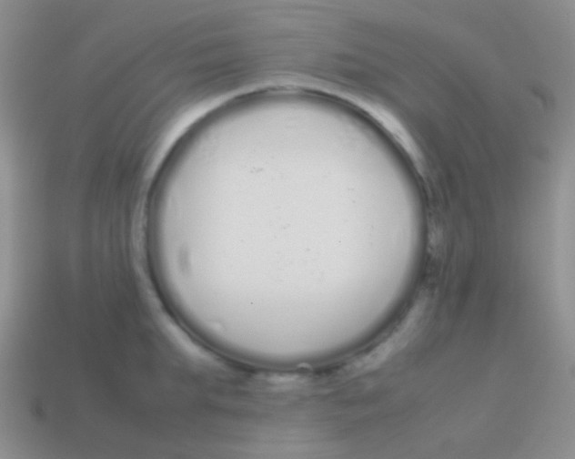 X0000113620903200910161950