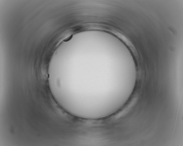 X0000113620905200910161950
