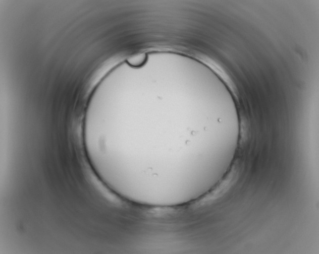 X0000113620906200910161950