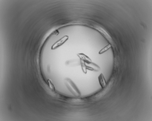 X0000113620907200910161950
