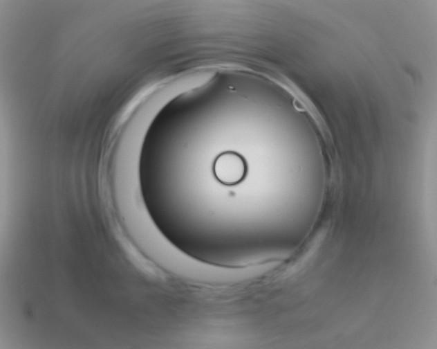 X0000113620909200910161950