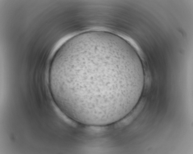 X0000113620910200910161950