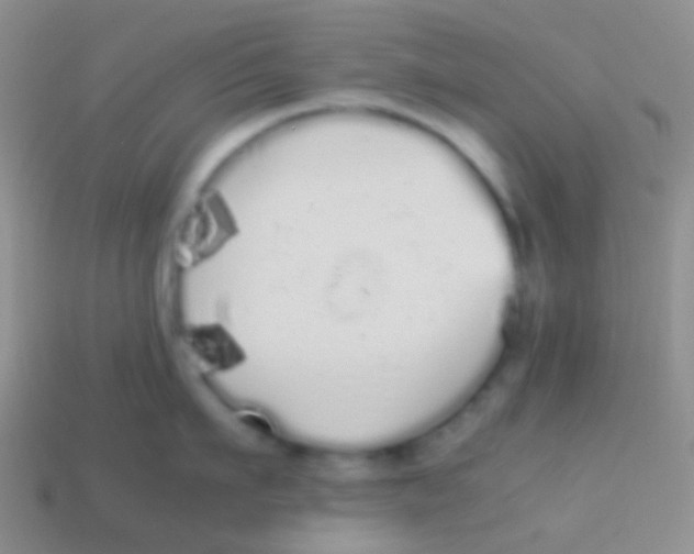 X0000113620911200910161950