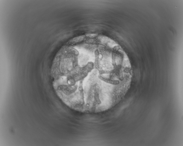X0000113620913200910161949