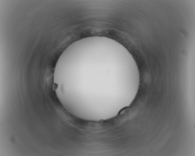 X0000113620914200910161949