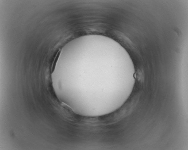 X0000113620915200910161949
