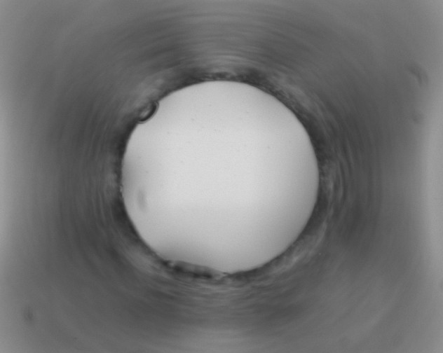 X0000113620916200910161949