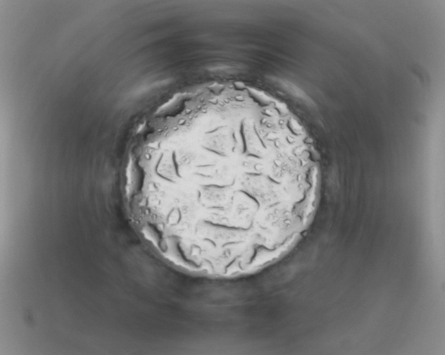 X0000113620917200910161949