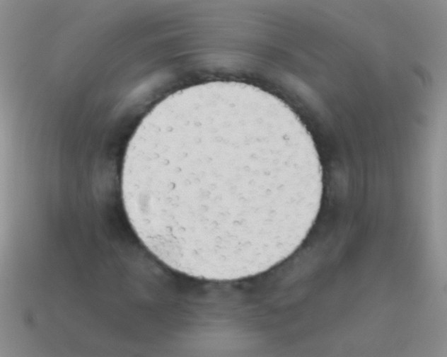 X0000113620918200910161949