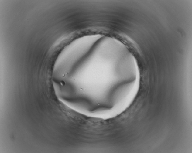 X0000113620919200910161949