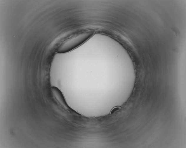 X0000113620920200910161949